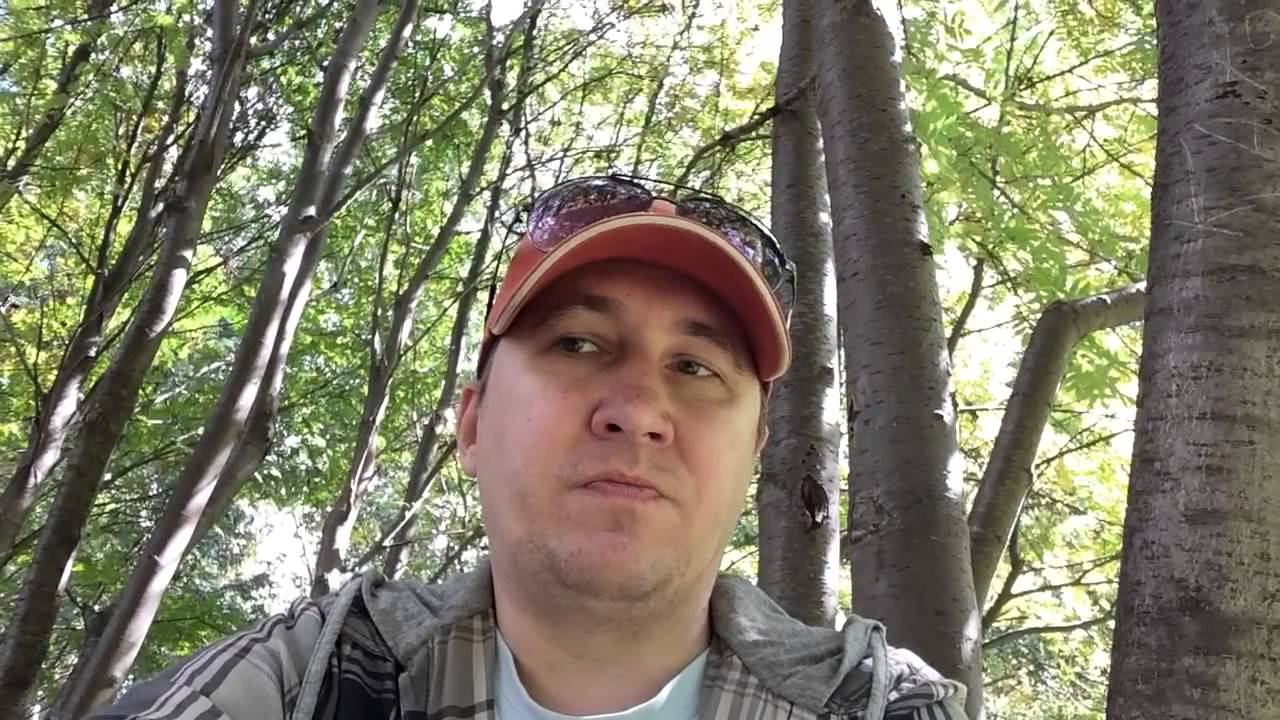 Благодарность Артему Мельнику смотреть онлайн