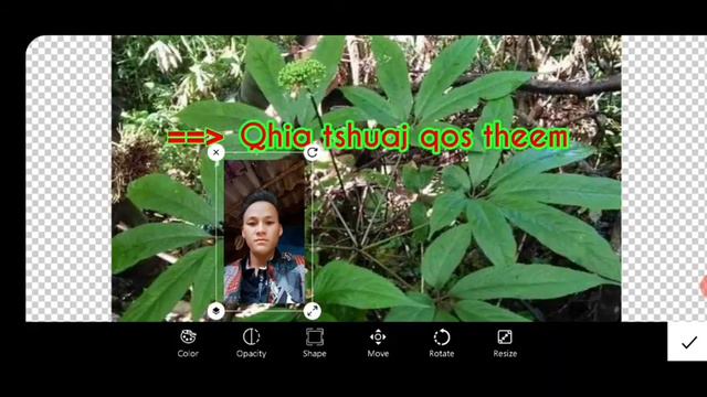 Qhia tsim thiab tso duab rau koj zaj video zoo heev смотреть онлайн