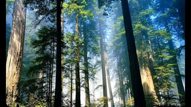 Мантра смотреть онлайн