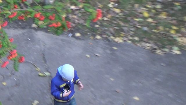 Sony HDR-CX320E test zoom. смотреть онлайн