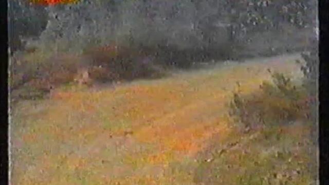 Baja Terras del Rey 2003 - Parte 1/2 смотреть онлайн