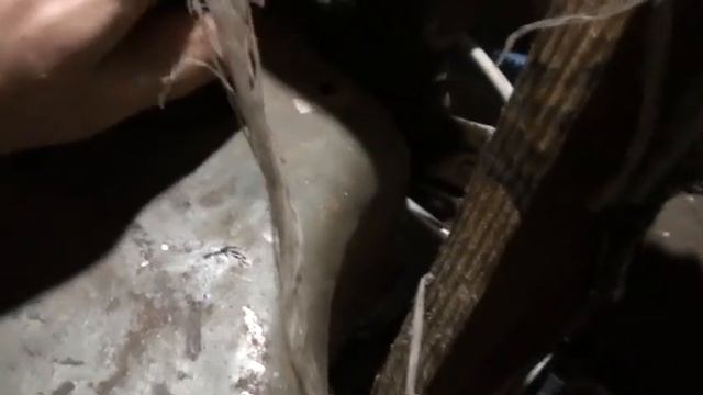Двигатель УД-2 с переделанным коллектором и карбюратором от Скутера 150сс смотреть онлайн