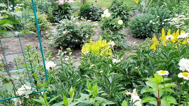 И ВСЁ-ТАКИ ОНА САМАЯ ЛУЧШАЯ! ВО ВСЁМ РАЙОНЕ НЕ НАЙДЁШЬ ТАКОГО ЦЕНИТЕЛЯ ЦВЕТОЧНОЙ КРАСОТЫ! смотреть онлайн