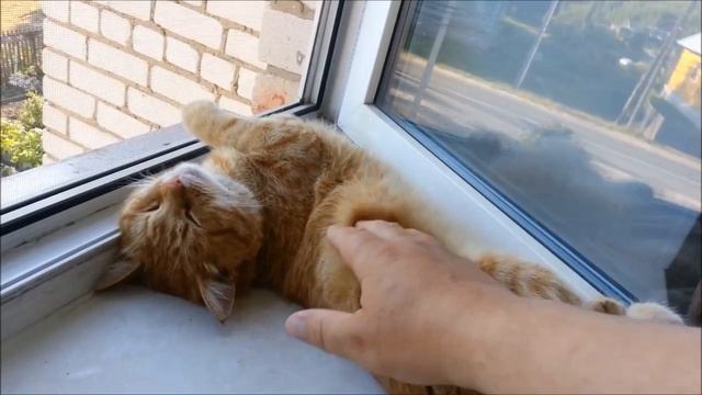 Летняя жара смотреть онлайн