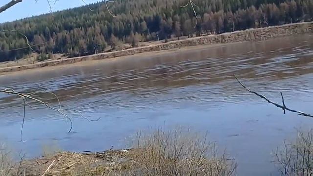 Половодье на Лене, город Усть-Кут смотреть онлайн