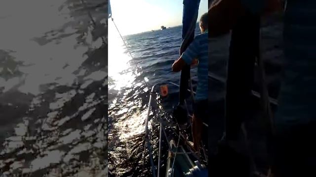 Регата порт Бургас смотреть онлайн