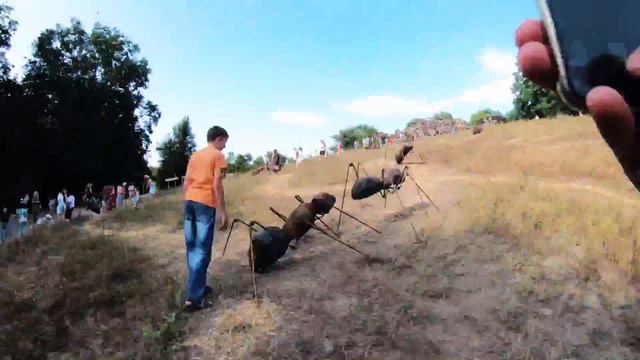 Воронеж город сад 2018 смотреть онлайн