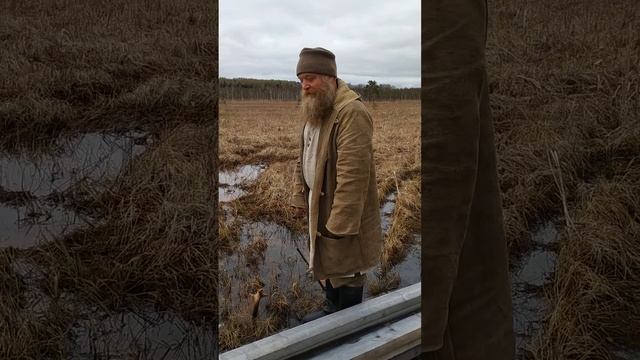 Иван Сусанин и глубина болота смотреть онлайн