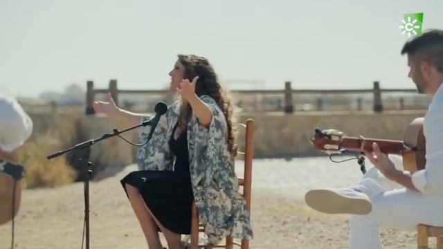 Argentina - A puro dolor con Son de Cuba & Compañía + Javier Ibañez - “Música para mis oídos” смотреть онлайн