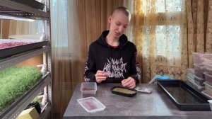 Как вырастить микрозелень дома?! Микрозелень редис Санго!