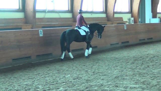 Kesha смотреть онлайн