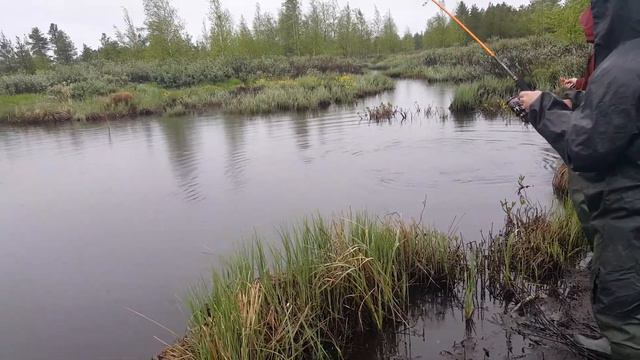 Щука 5.2 кг Сургут смотреть онлайн