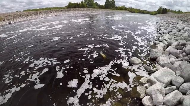 Fishing For Spillway MONSTERS! смотреть онлайн