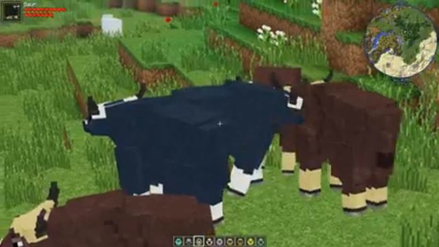 Zoo and Wild Animals Mod Animal Showcase v1.7.0 60FPS Animals in Minecraft Ep33 смотреть онлайн