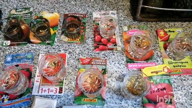 25.03.22 Сею рассаду томатов и цветов, пою. смотреть онлайн