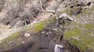 Табиати зебои кухсоррони Точикистон Ванч д.мазор Красивая природа гор Таджикистана Ванч ущелье Мазо