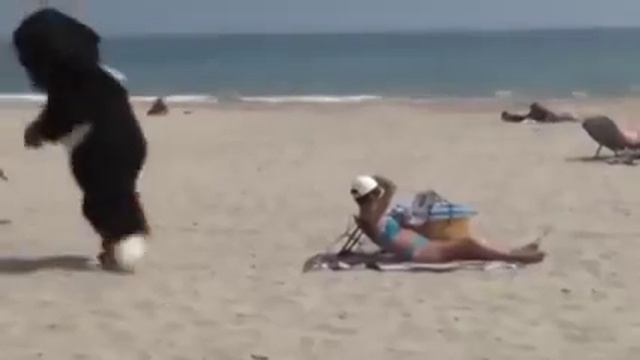 Нетипичная Махачкала(17) смотреть онлайн