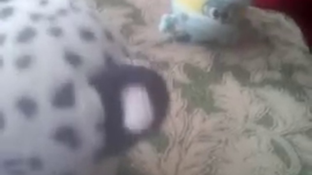 Оператор шоу 6 часть 1 смотреть онлайн