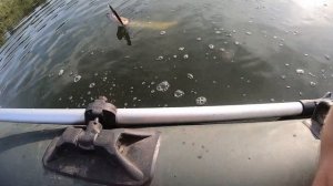 Лучшие попперы на окуня - Kosadaka Next Popper