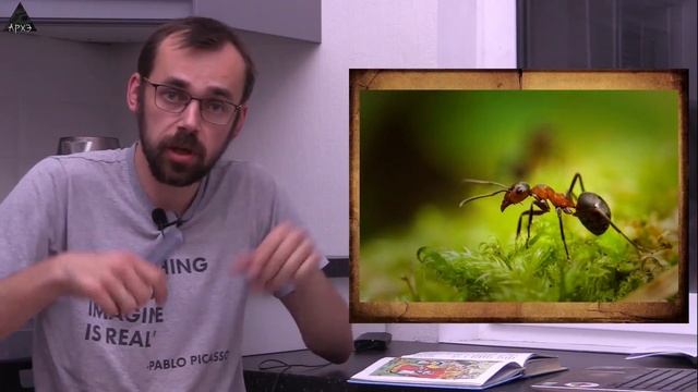 «Приключения муравья Ферды. Выпуск 7» с Алексеем Сивухиным смотреть онлайн