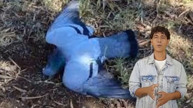 Dead Pigeon Dream Interpretations