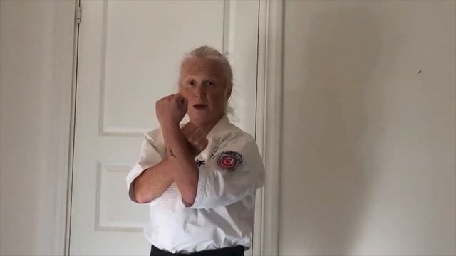 Seiken Jodan Uke смотреть онлайн