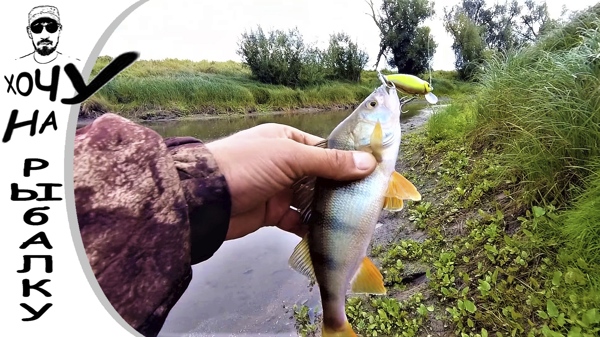 РЫБАЛКА В АВГУСТЕ. щука и окунь на воблеры и джиг смотреть онлайн