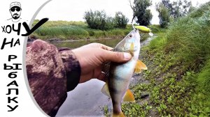 РЫБАЛКА В АВГУСТЕ. щука и окунь на воблеры и джиг