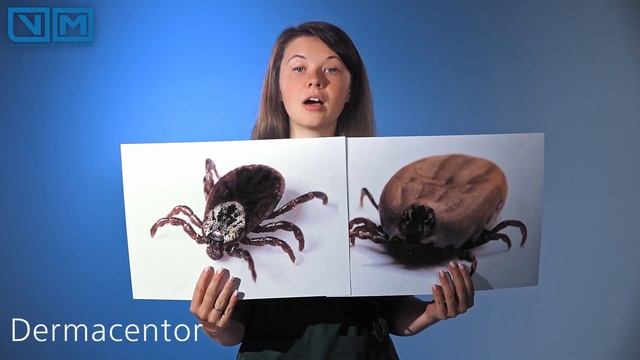 Магические загадки прошлого