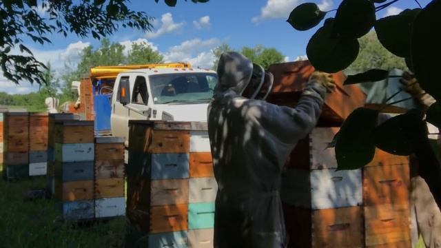 Nothing interesting today, just stacking boxes - July 14, 2020 смотреть онлайн
