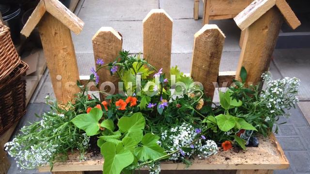 Debs Lime & Lavender Mix смотреть онлайн