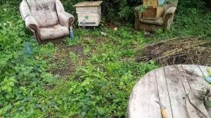 жесть потерял матку