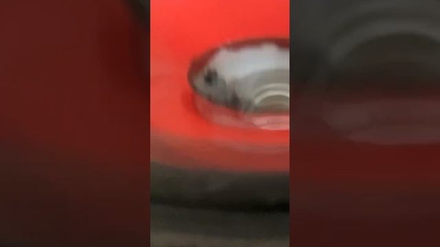 Сжигаю динамик смотреть онлайн