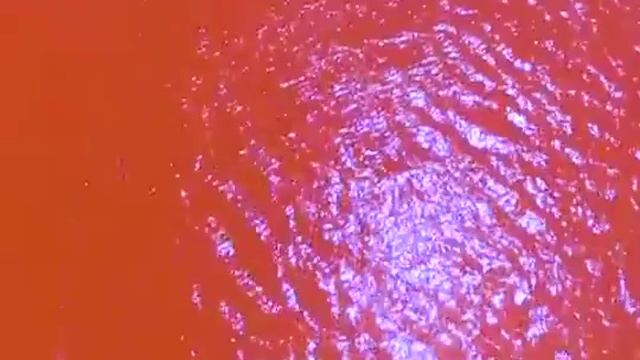 Красная лагуна❤ #shorts