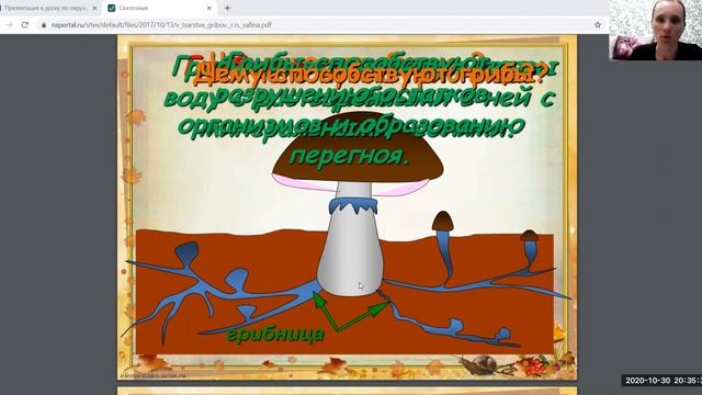 Окружающий мир Семейство грибов 3 класс Ветер О А смотреть онлайн