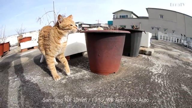 Samsung NX 10mm F3.5 - Movie AF TEST [Eng Sub] смотреть онлайн