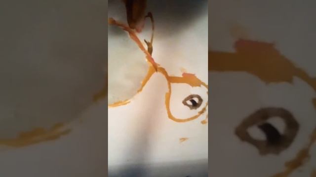 Как можно нарисовать верблюда смотреть онлайн
