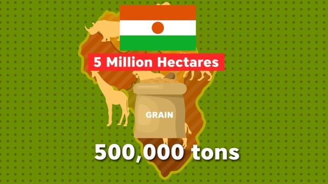 Why Africa is Building The Great Green Wall смотреть онлайн