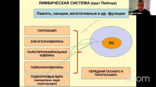Зал персональной конференции АУ ИРО АУ ИРО смотреть онлайн