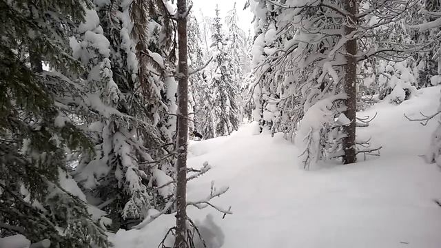 Forshedin highmarkit смотреть онлайн