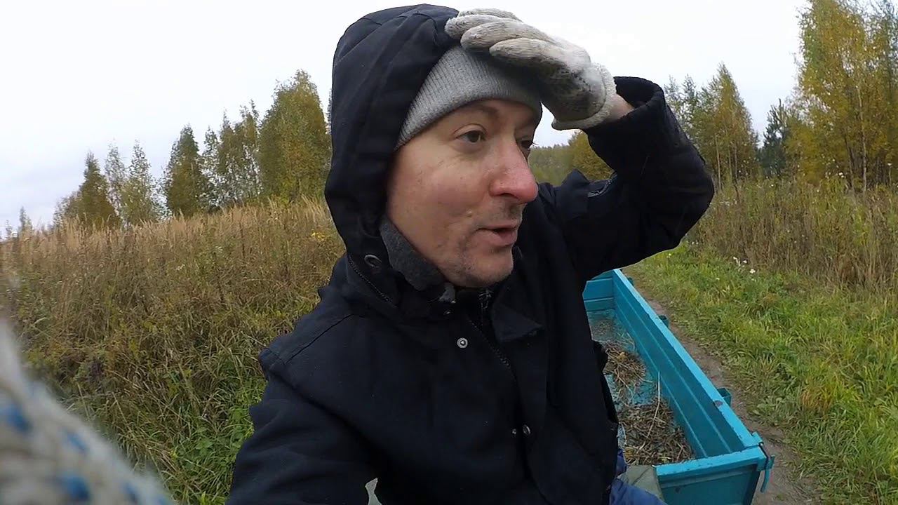 СКОТИНА ПОВРЕДИЛА ЧУЖУЮ МАШИНУ || КТО ВИНОВАТ? смотреть онлайн
