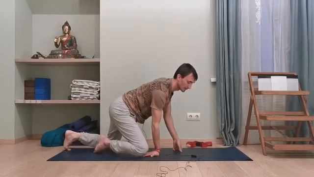 Маюрасана - поза павлина. Николай Шименков. смотреть онлайн