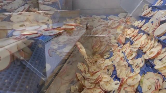 Кулинарное творчество на все случаи жизни 