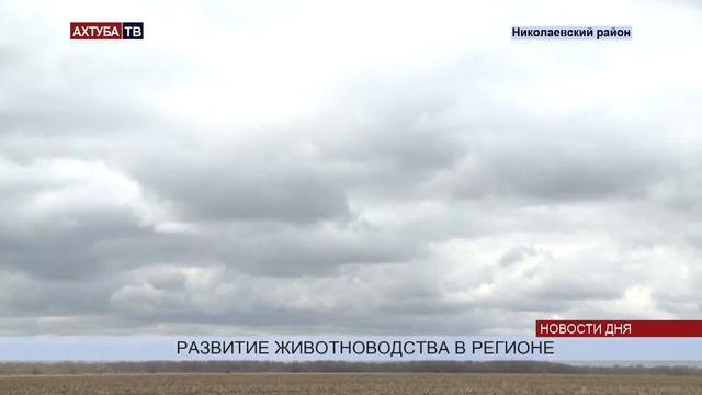 На развитие семейных ферм в регионе выделят 200 миллионов рублей смотреть онлайн