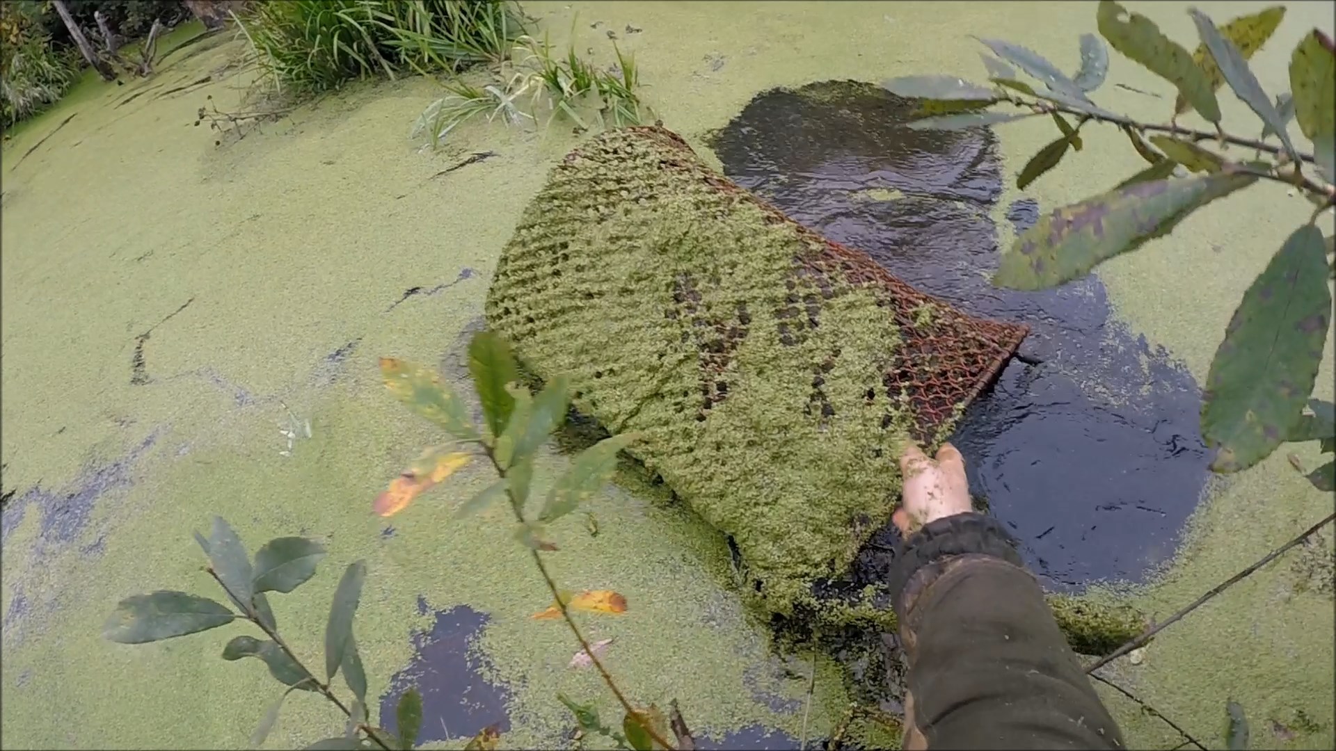 С мордами на ондатру (Будни охотника и рыбака) смотреть онлайн