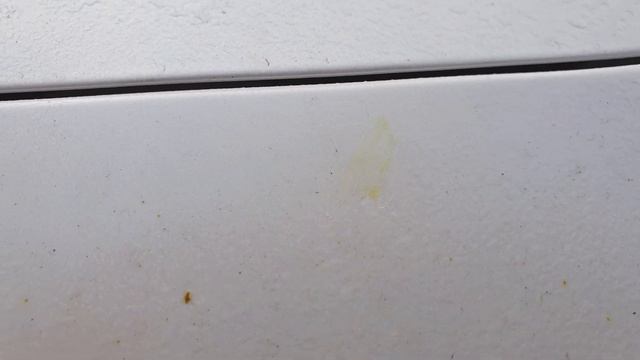 Лучшее средство от тополиных почек и других загрязнений. CarTech Pro Tar Remover