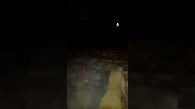 АРМЯНСКИЙ ВОЛКОДАВ ГАМПР , АРДЖУК смотреть онлайн