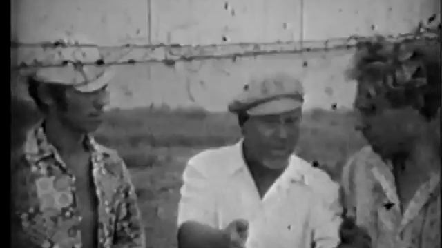 Скадовск - заготовка сена на острове Джарылгач 1974 год смотреть онлайн