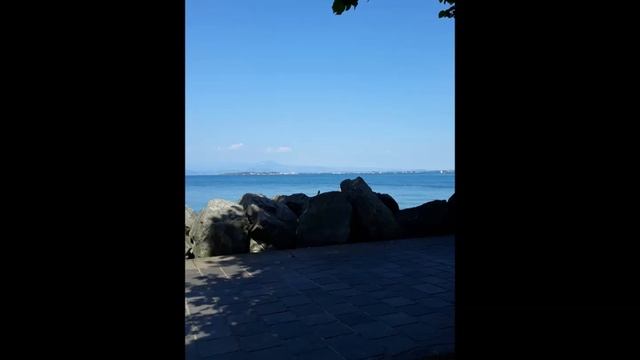 Musica per l'Anno 2020 смотреть онлайн