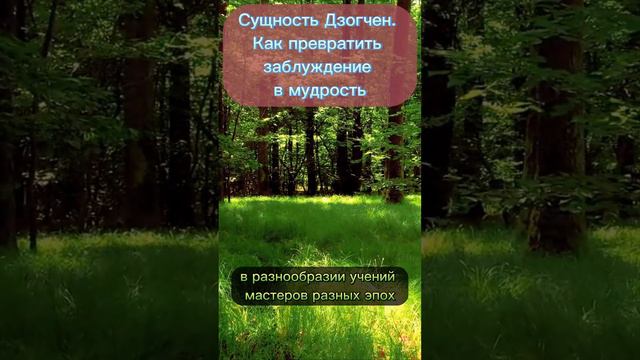 Сущность Дзогчен. Как превратить заблуждение в мудрость. смотреть онлайн